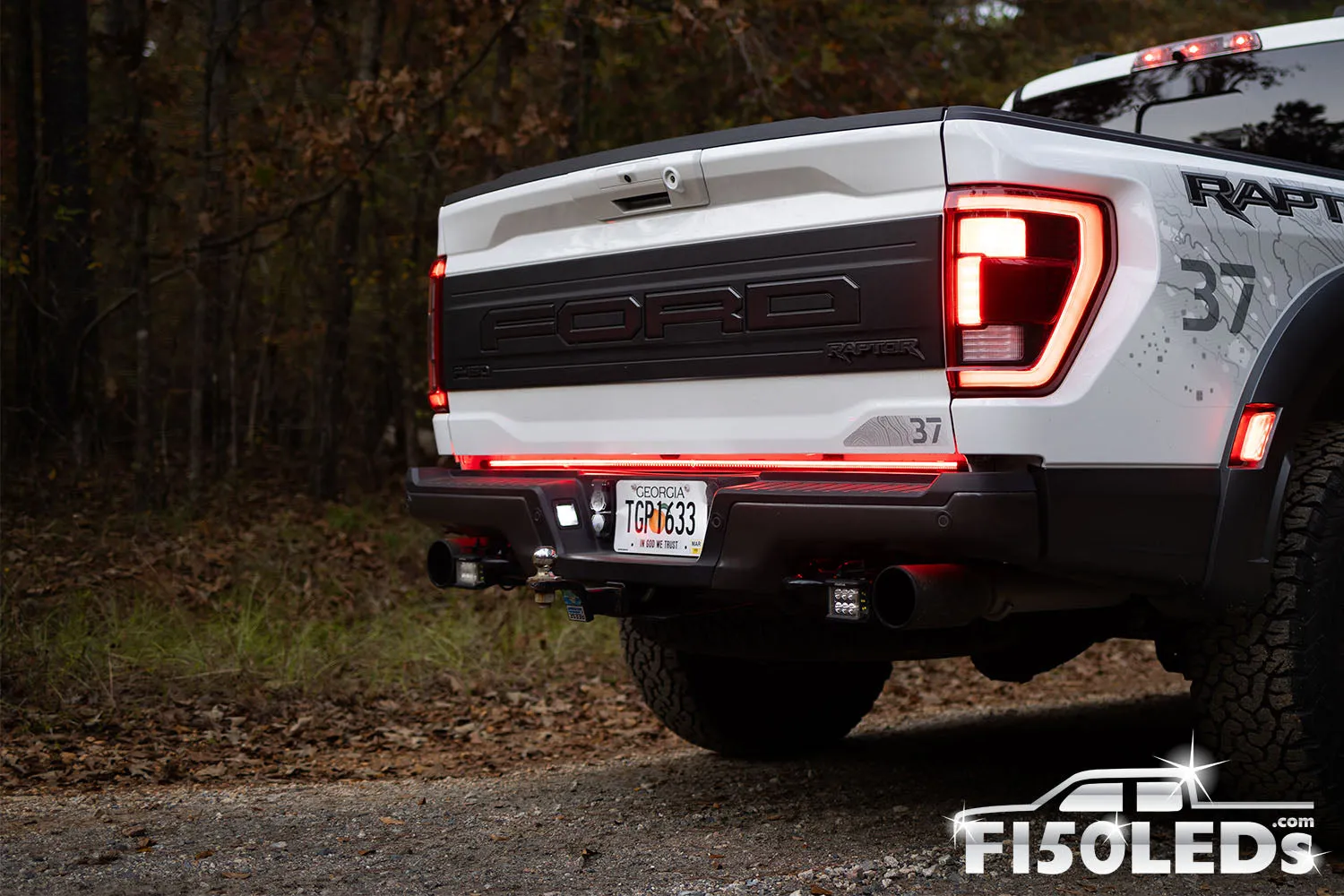 2004 - 2008 F150 Sentinel CREE LED Tailgate Bar