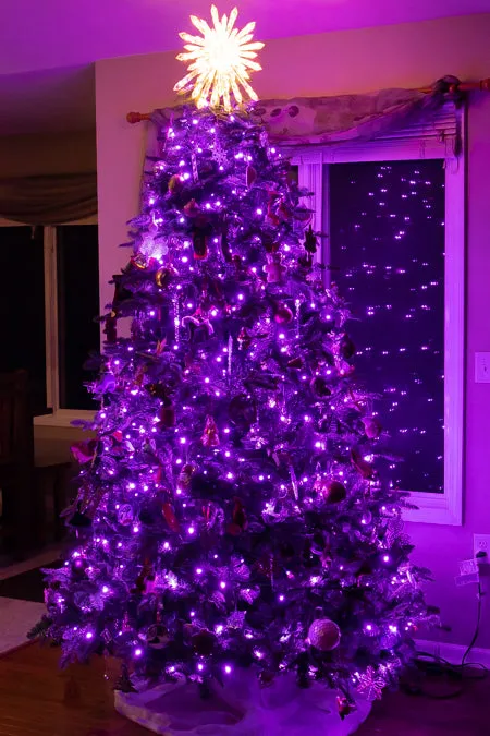 5mm 70L LED Christmas Lights Purple