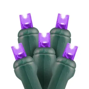 5mm 70L LED Christmas Lights Purple