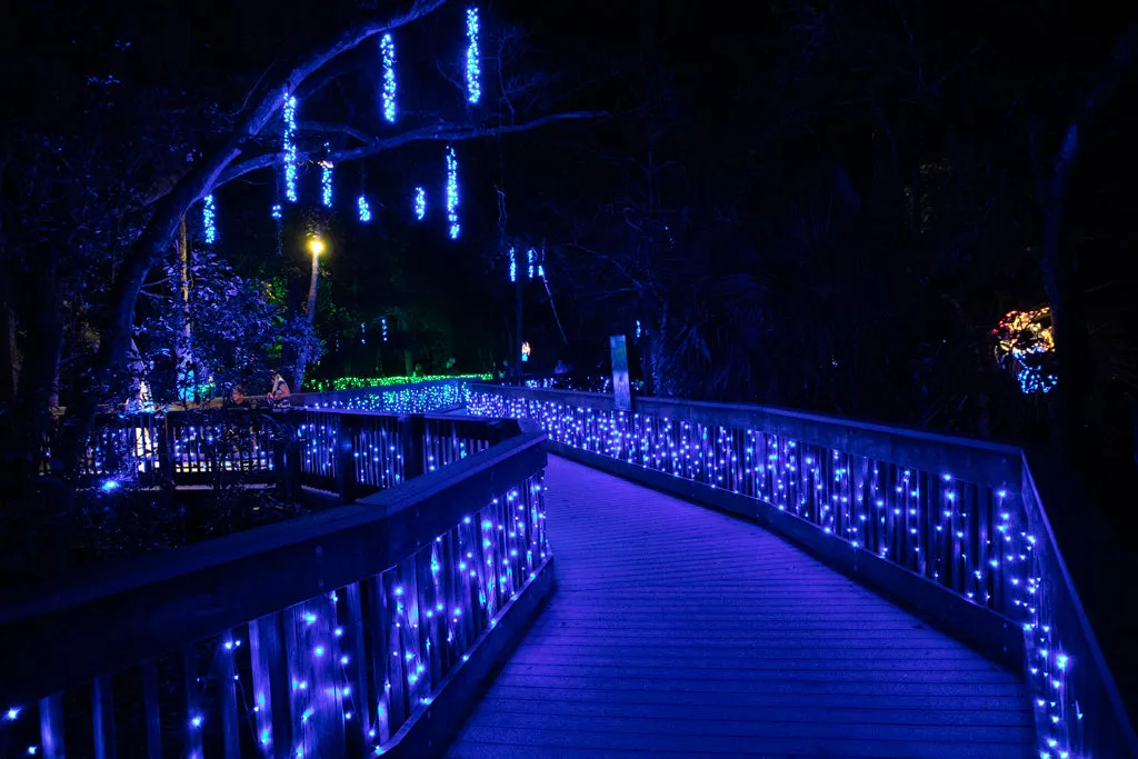 5mm LED Christmas Lights 35L Blue