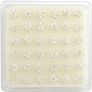 Acrylic Nose Display Box