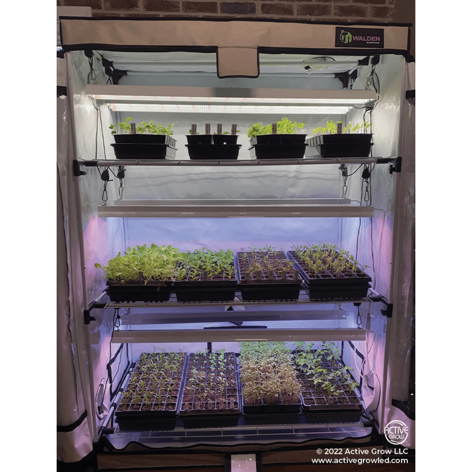 Active Grow Microgreen 2' x 4' 3-Tier LED Walden White Grow Tent Kit