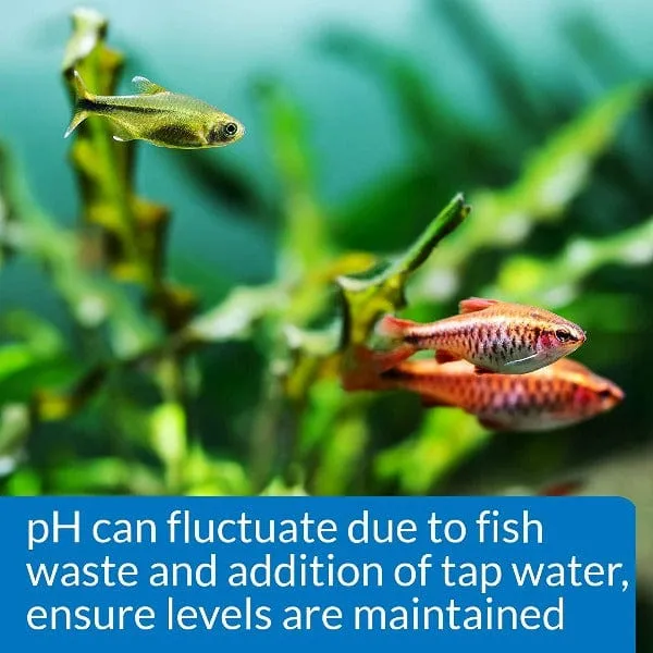 API Freshwater pH Test Kit