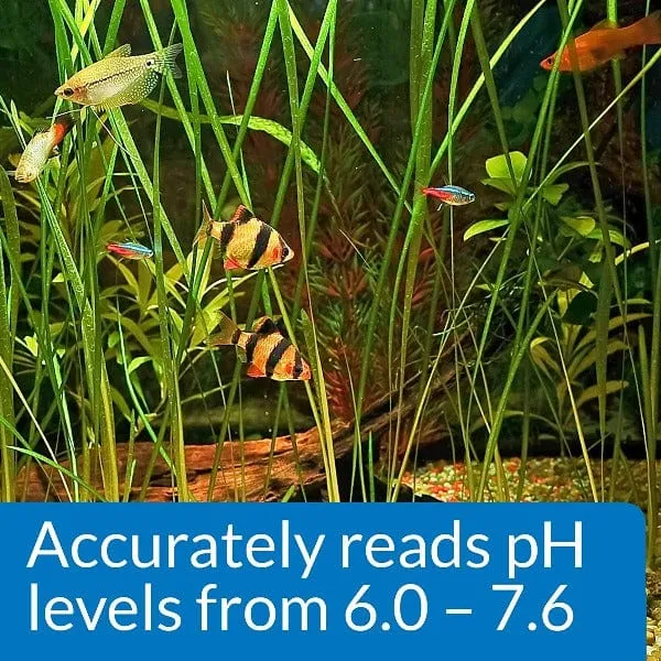 API Freshwater pH Test Kit