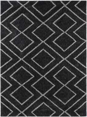 Bryant Graphite Shag Rug 2'x3'