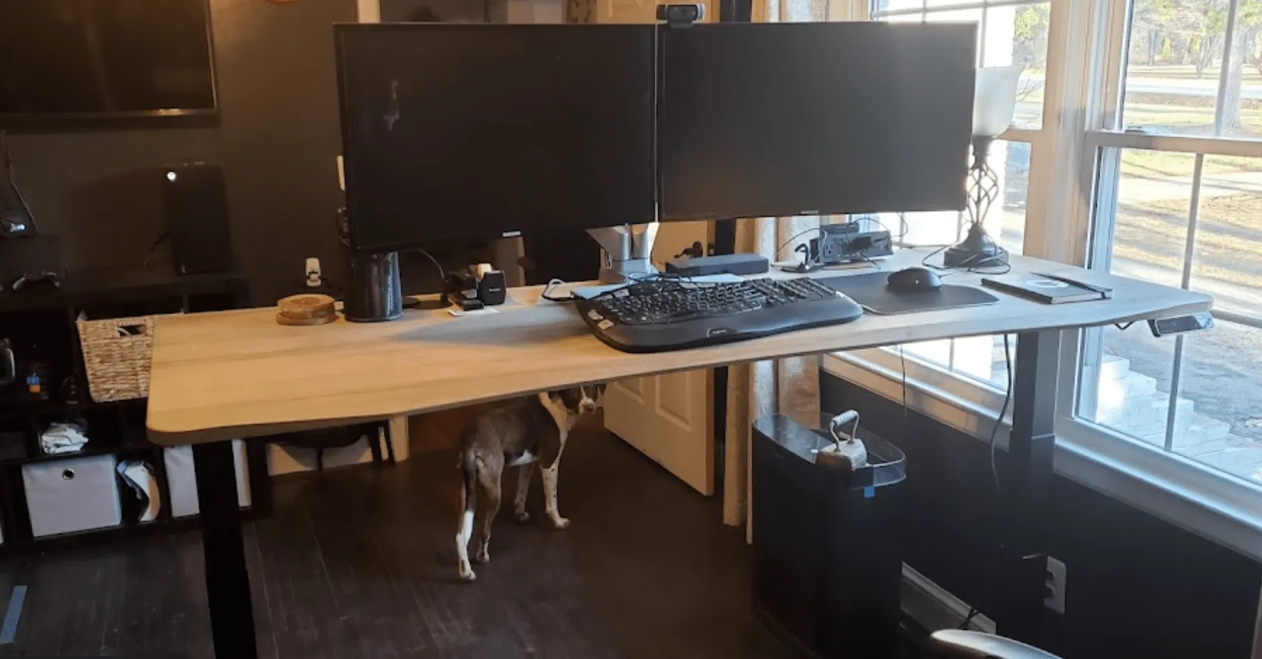 Dual Monitor Arm