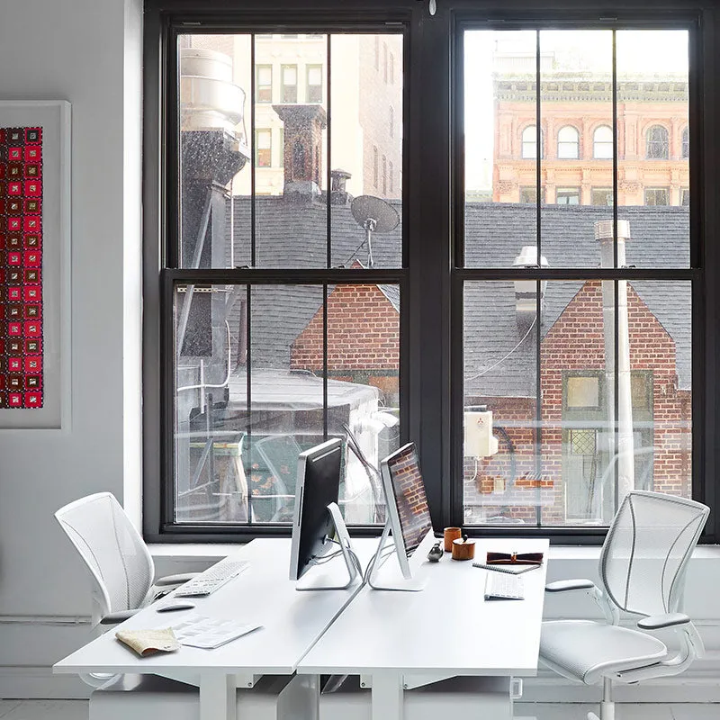 Humanscale Diffirient World Chair