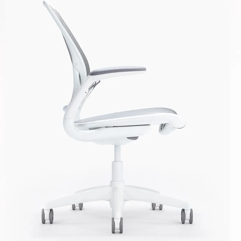 Humanscale Diffirient World Chair