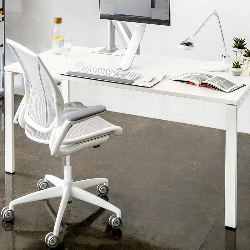 Humanscale Diffirient World Chair