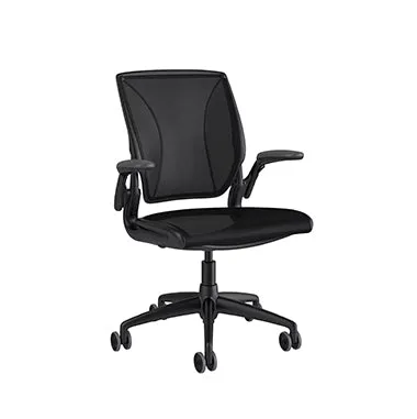 Humanscale Diffirient World Chair
