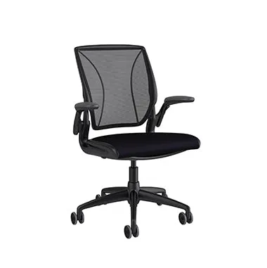 Humanscale Diffirient World Chair