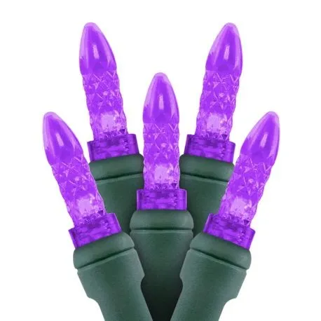 M5 70L mini LED Christmas Lights Purple