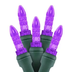 M5 70L mini LED Christmas Lights Purple