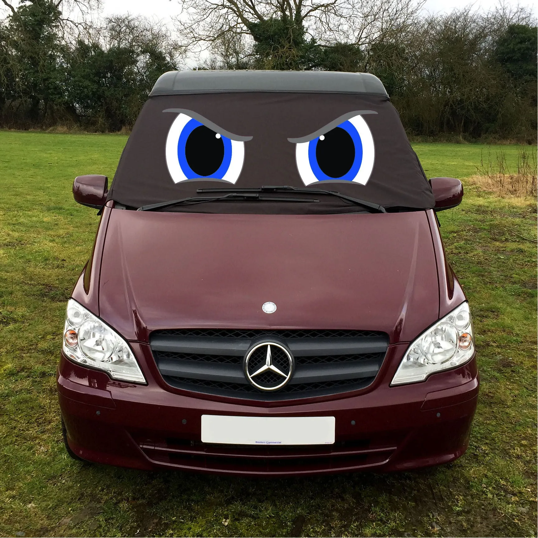 Mercedes-Benz Vito W639 Custom Screen Cover Eyes - Rocky