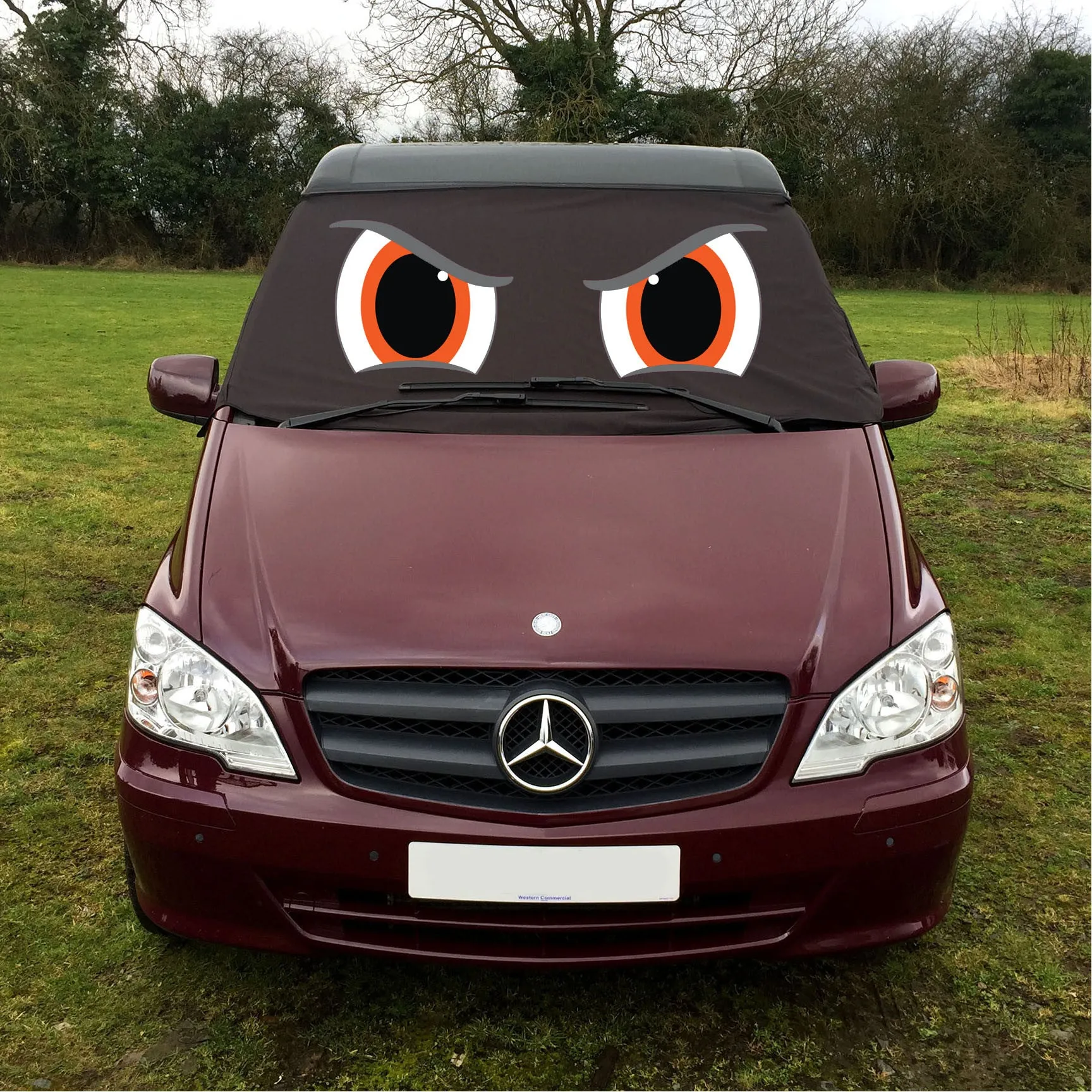 Mercedes-Benz Vito W639 Custom Screen Cover Eyes - Rocky