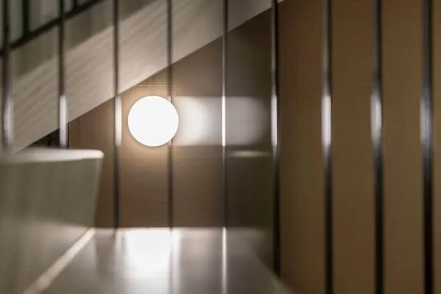 Steinel RS PRO 20 Basic SC – Smart Indoor Bluetooth Sensor Light, Energy-Efficient LED Ceiling Fixture