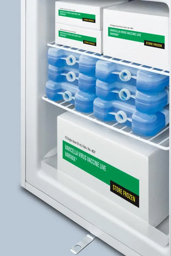 Summit FS30LMED2 Compact All-freezer
