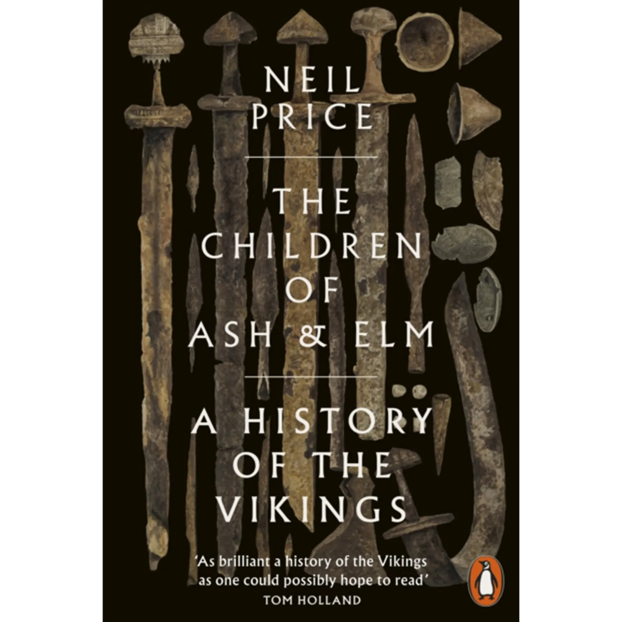 The Children of Ash and Elm: A History of the Vikings