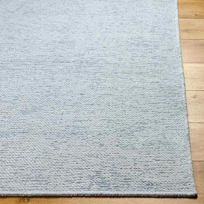Tobey Solid and Border Light Sage Washable Area Rug