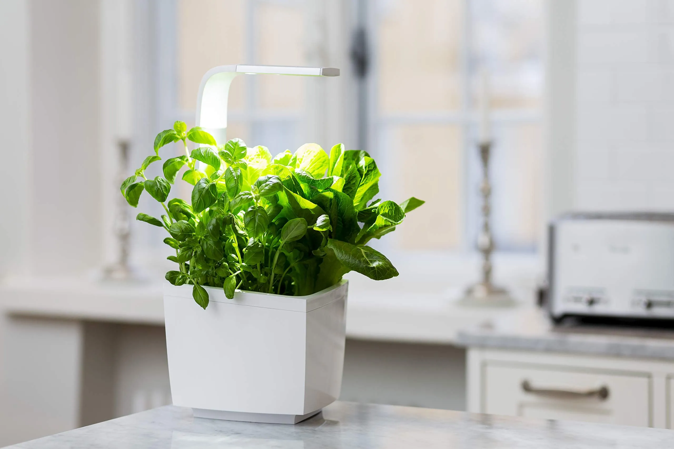 Tregren Home Indoor Kitchen Garden - Smart LED Grow Light Kit For Both Outdoor & Indoor Plants & Gardening Kits - Plant Seeds & Herbs Using Active Growing Technology & Smart Gardener App (T3, White)
